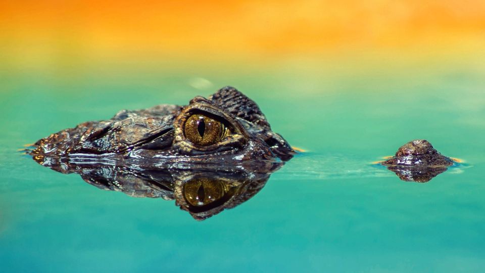 f960x540-735055_809130_0