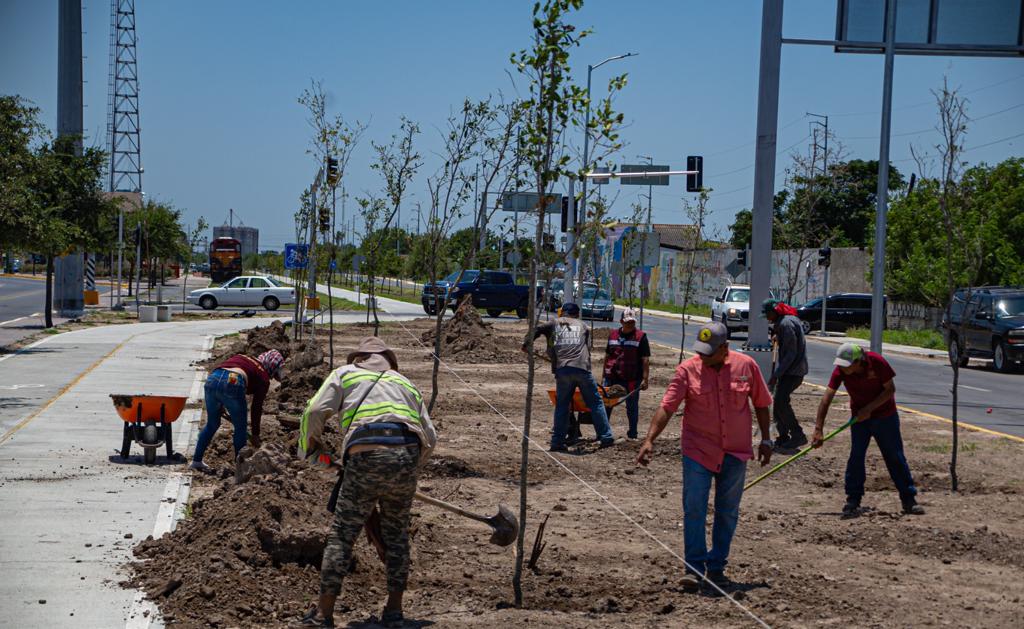 58e5896a-71c9-403a-a3c7-8c7ea9de49a5