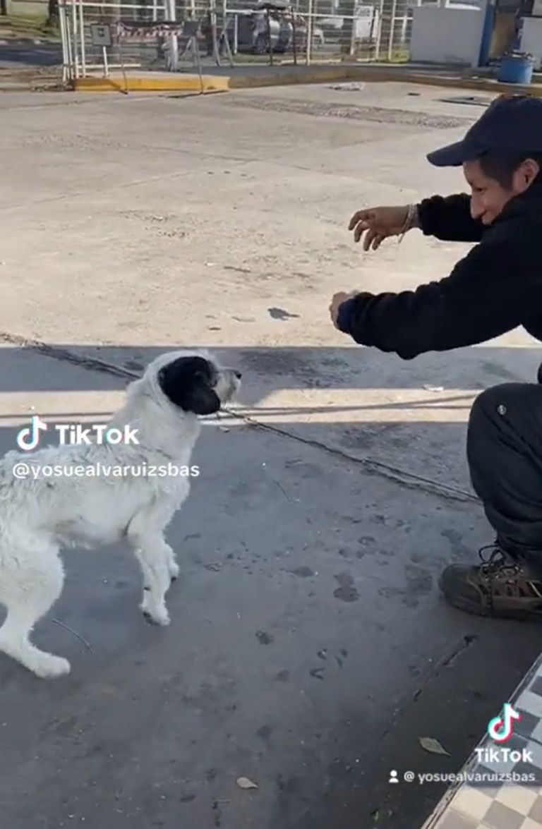 f768x1-741464_741591_179