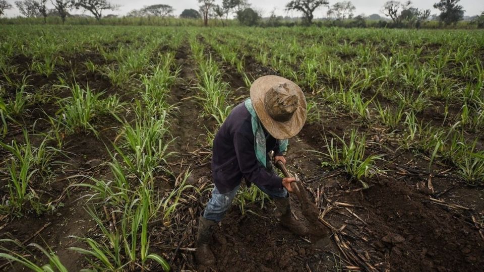 f960x540-646375_720450_0