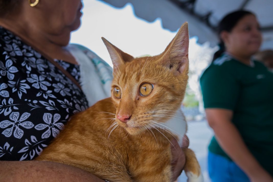 WhatsApp Image 2023-09-26 at 3.17.03 PM