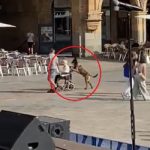 Captan a perrito empujando la silla de ruedas de su dueña en 2 patas