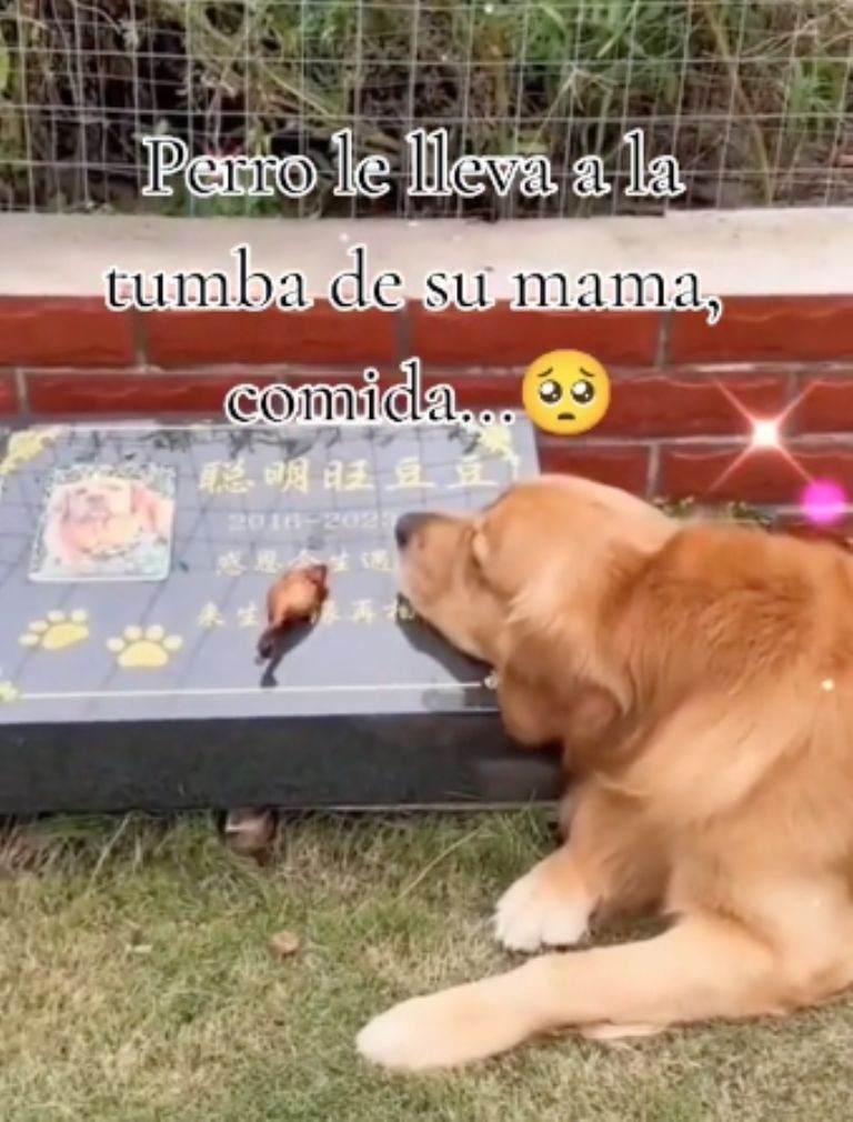 f768x1-815895_816022_5050