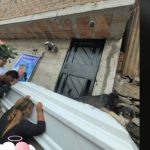 Lomito se sube al féretro de su amo para despedirlo