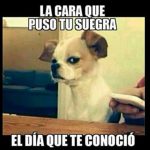 Sabias que hoy es el Día Mundial de la Suegra