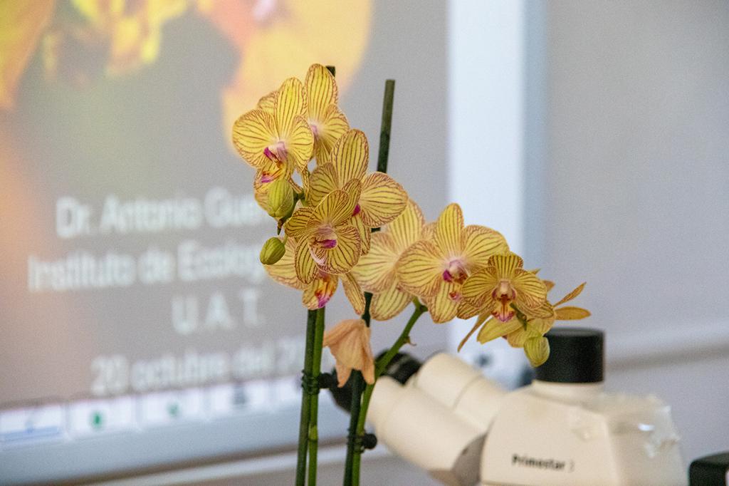 WhatsApp Image 2023-11-06 at 3.37.26 PM