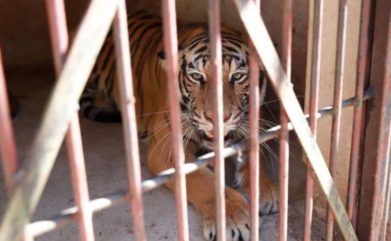 f768x1-847494_847621_6