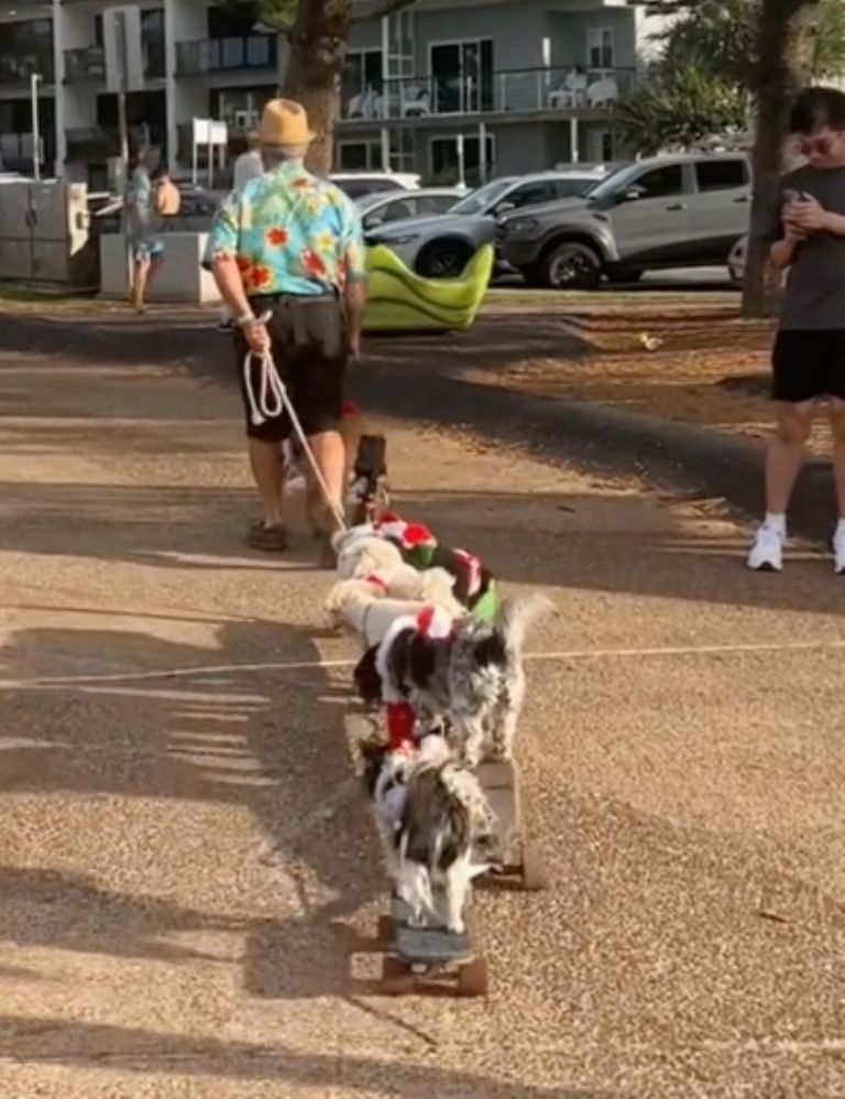 f768x1-854113_854240_136