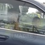 Un papá deja manejar a su hijo de 6 años al volante