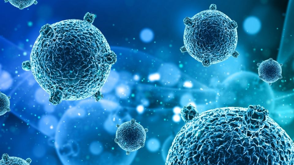 f960x540-857533_931608_0