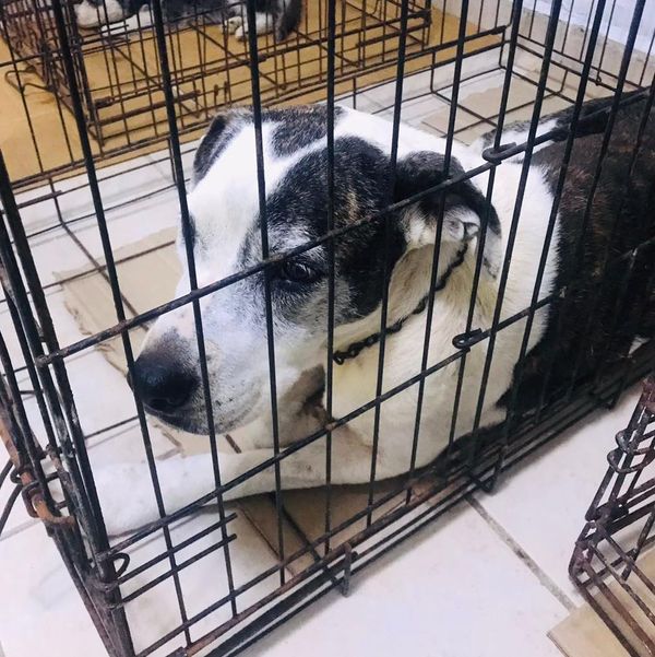 416056735_746415147532792_5975571262199019570_n