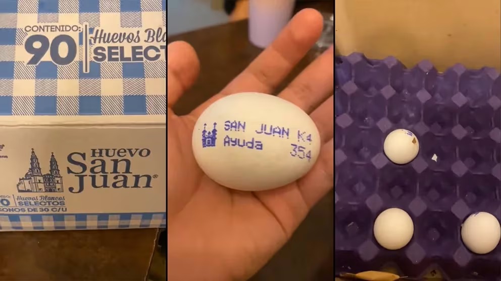 5ef202d1-dba1-42b4-84e3-351a913d89be