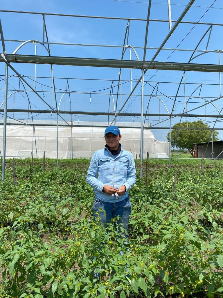 WhatsApp Image 2024-01-02 at 1.43.01 PM