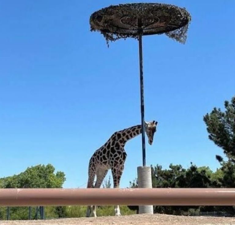 f768x1-870720_870847_70