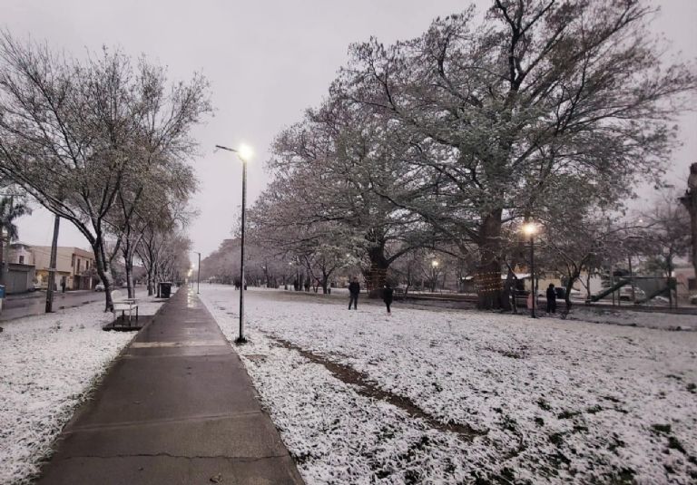 f768x1-875906_876033_5050