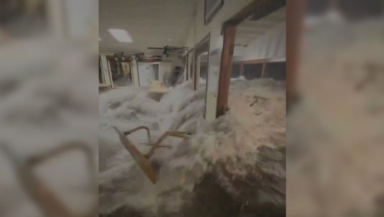 f768x1-878937_879064_0