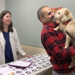 Perra que se perdió en California en julio pasado aparece en Michigan