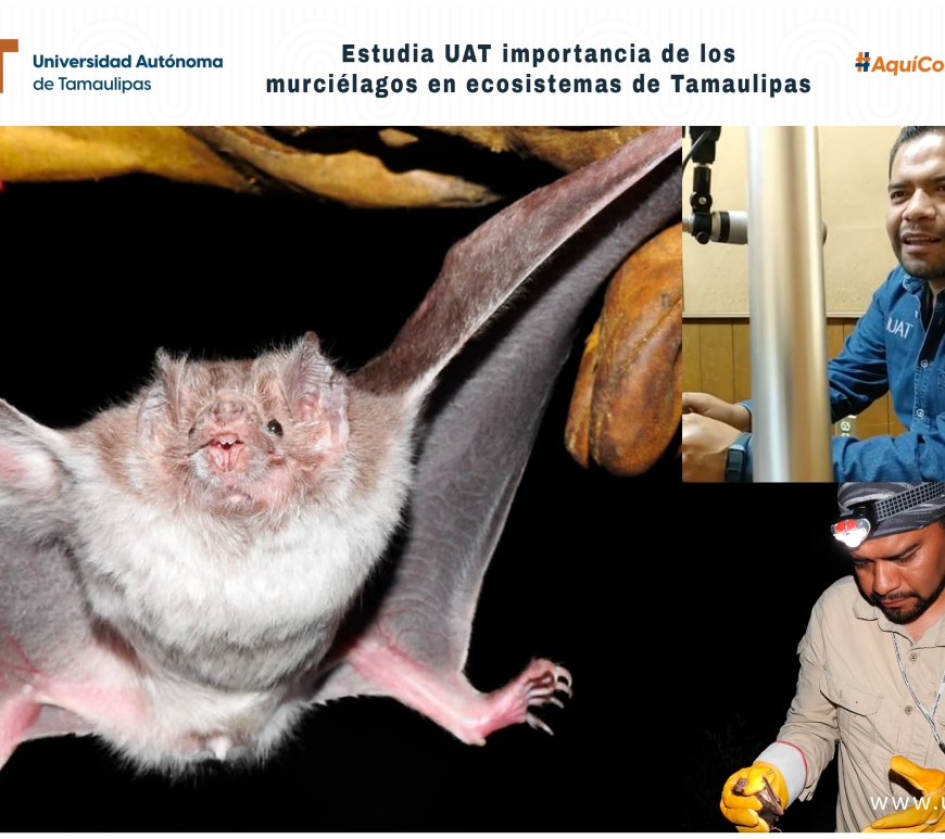 WhatsApp Image 2024-06-11 at 5.08.02 PM