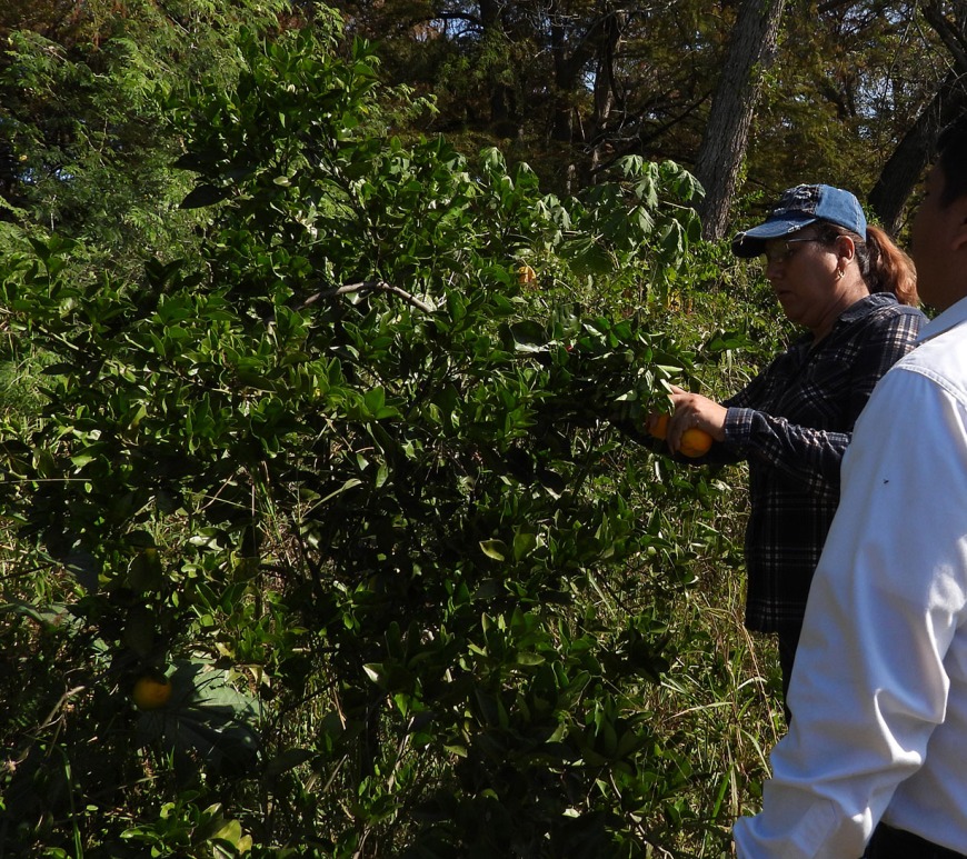 WhatsApp Image 2024-06-11 at 5.20.04 PM