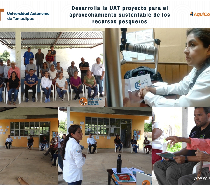 WhatsApp Image 2024-06-11 at 5.34.33 PM