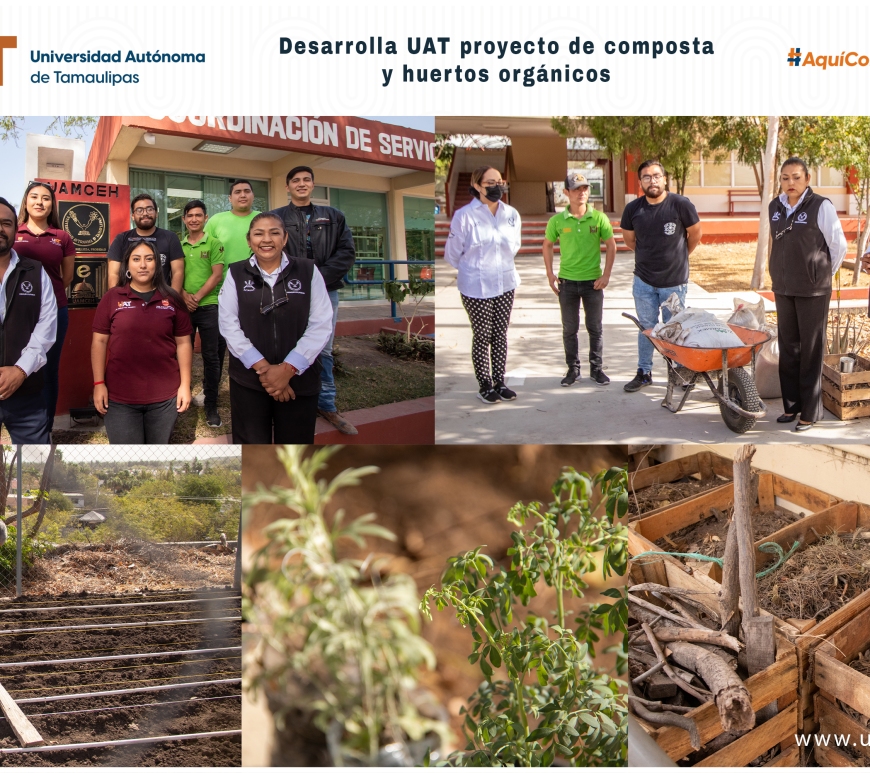 WhatsApp Image 2024-06-12 at 1.54.24 PM