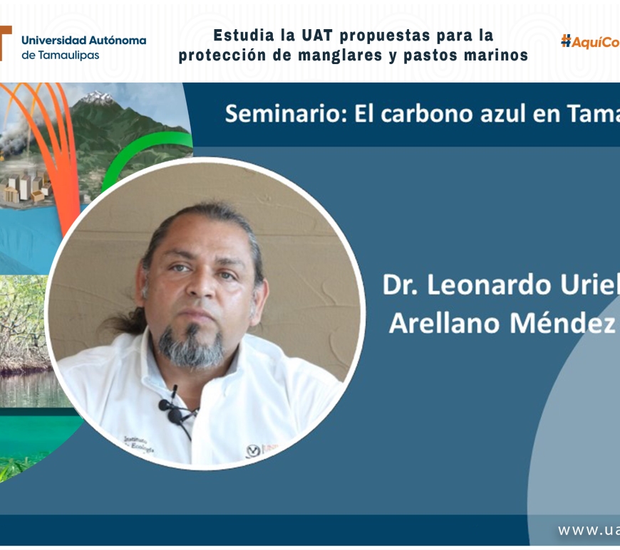 WhatsApp Image 2024-06-12 at 11.13.37 AM