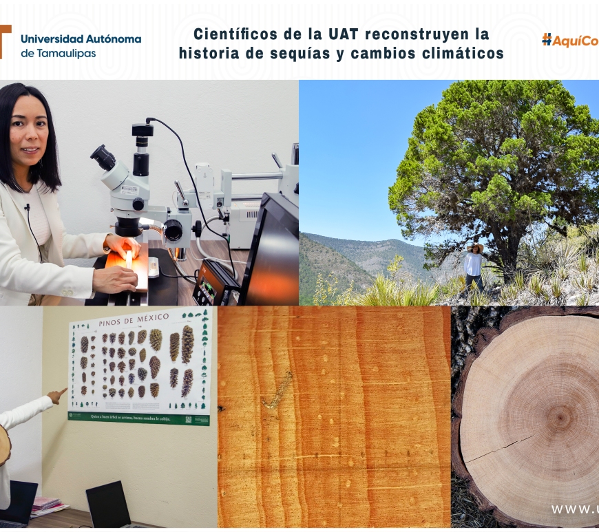 WhatsApp Image 2024-06-12 at 12.11.19 PM