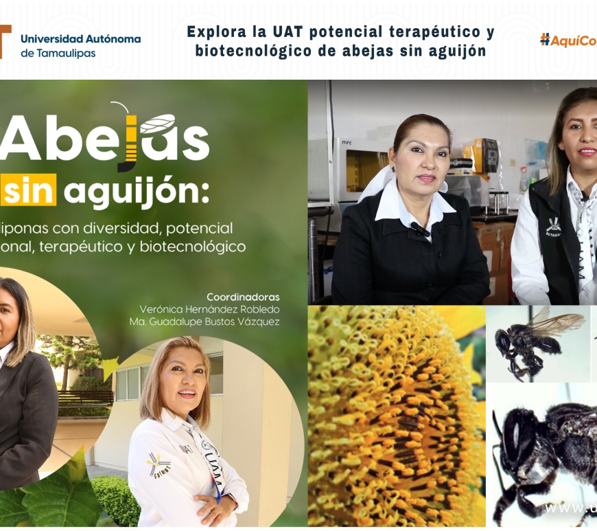 WhatsApp Image 2024-06-12 at 12.55.48 PM