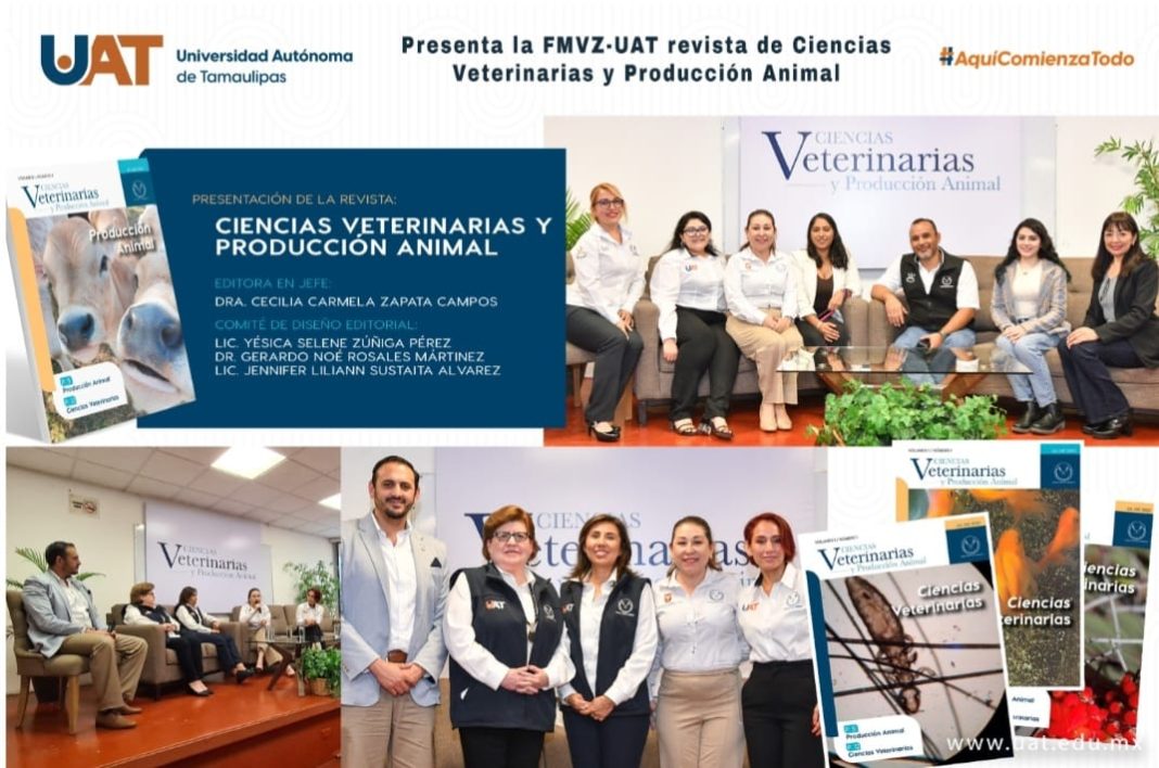 WhatsApp Image 2024-06-12 at 2.57.28 PM