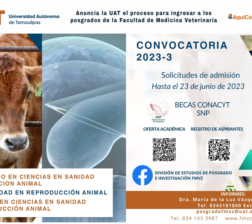 WhatsApp Image 2024-06-12 at 4.09.59 PM