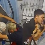 Captan a estilista de perros bailando con ellos mientras trabaja