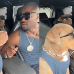 Perritos bailan con canción de Backstreet Boys y enamoran en redes