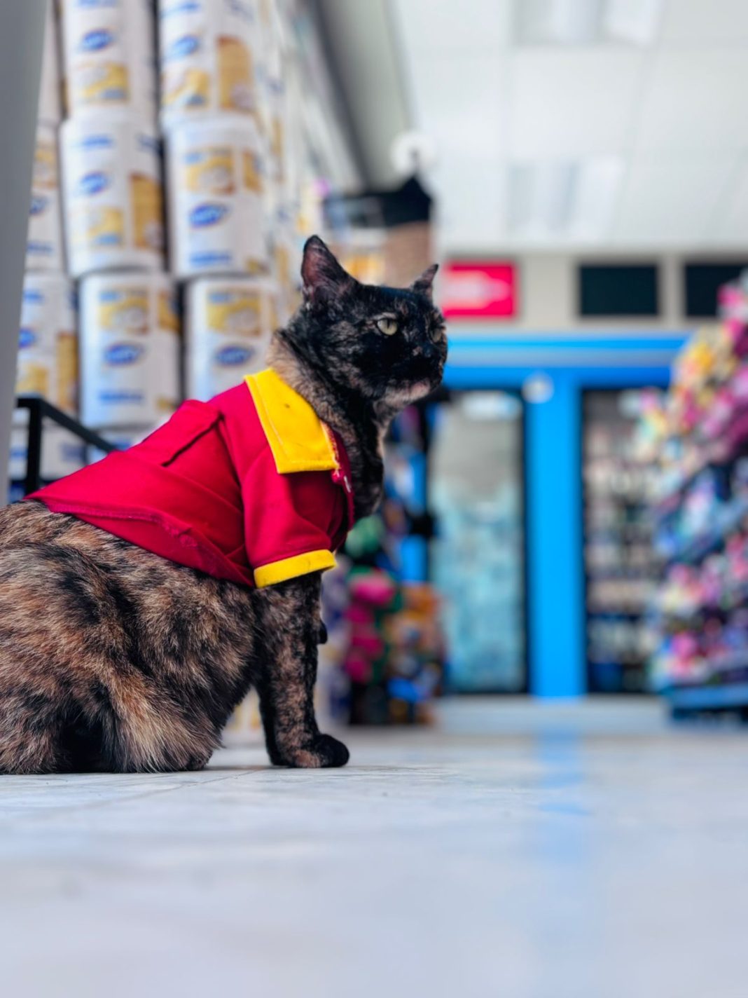 4f237c93-95b6-4fc0-8409-9fa883db5314