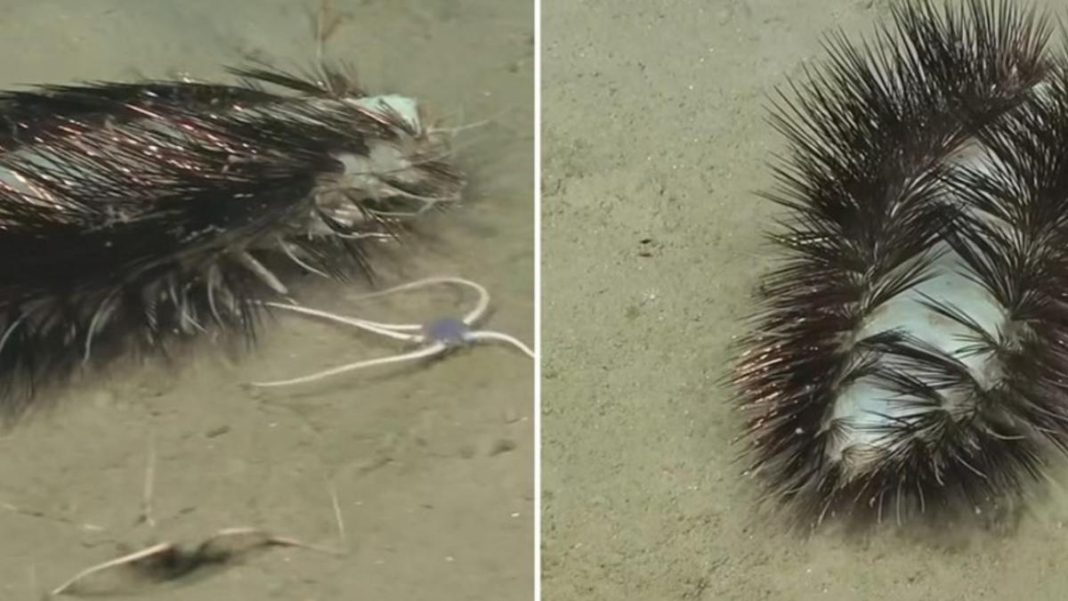 6745e3e2c5b17.r_d.1043-882-6000