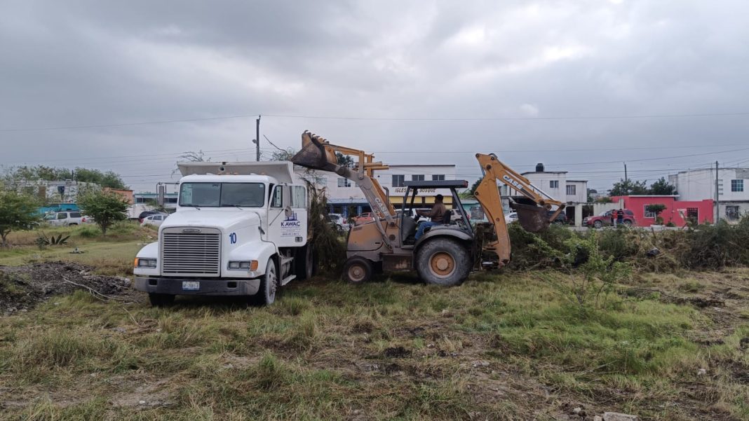 312bba8b-aed7-46d3-9b6b-408931cce067