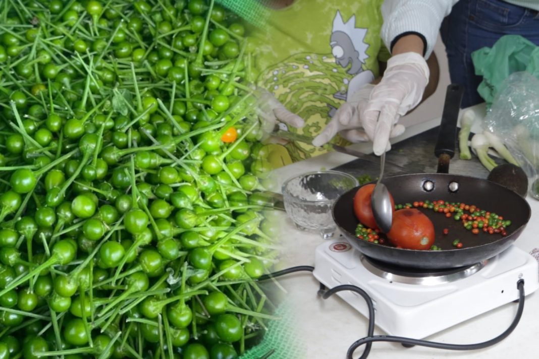 WhatsApp Image 2025-01-04 at 6.22.45 PM