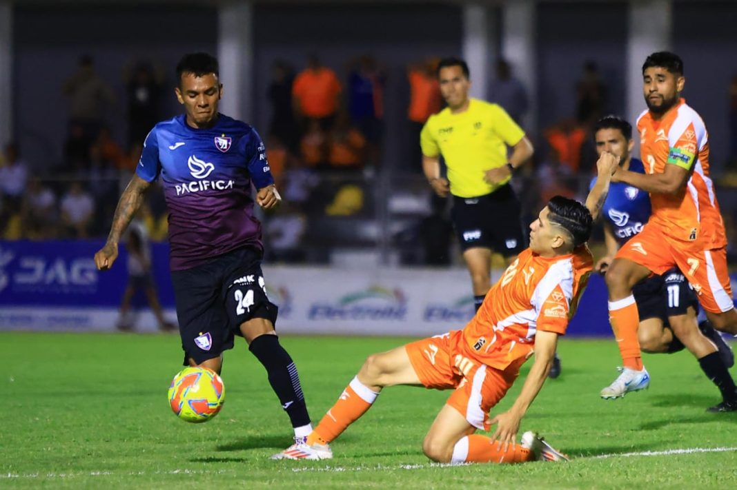 WhatsApp Image 2025-03-07 at 1.13.37 PM