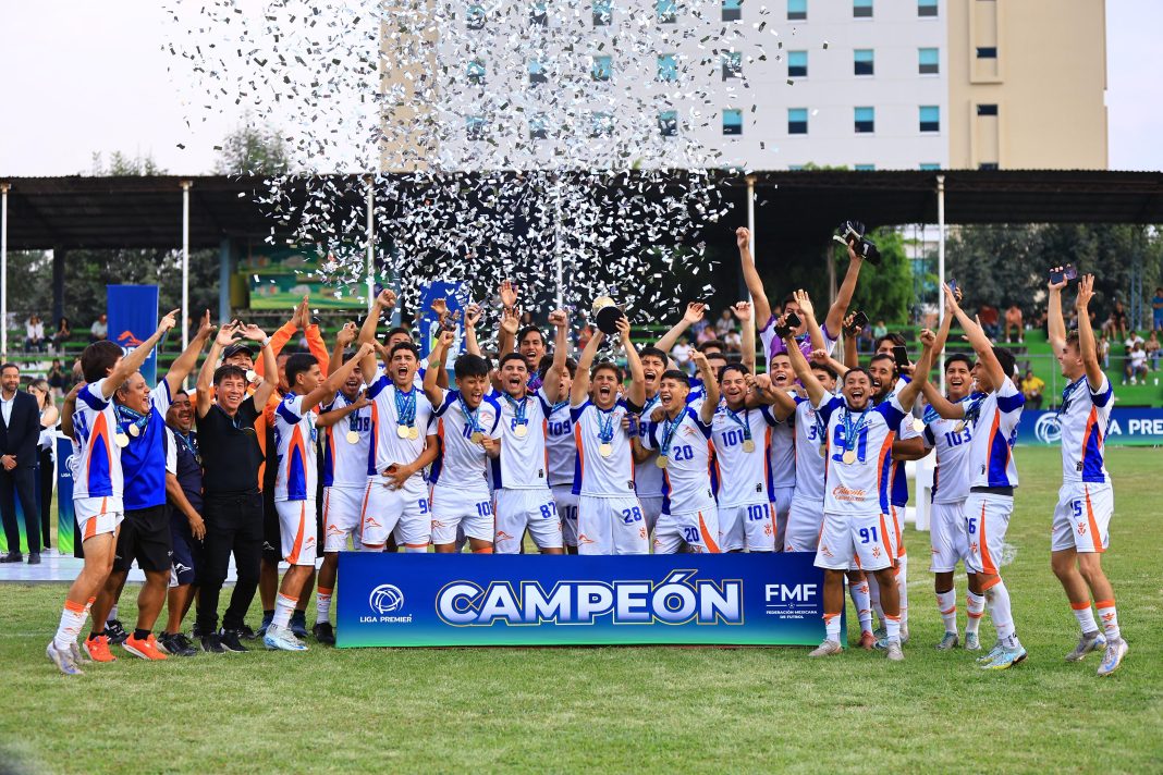 WhatsApp Image 2025-05-11 at 11.11.10 PM