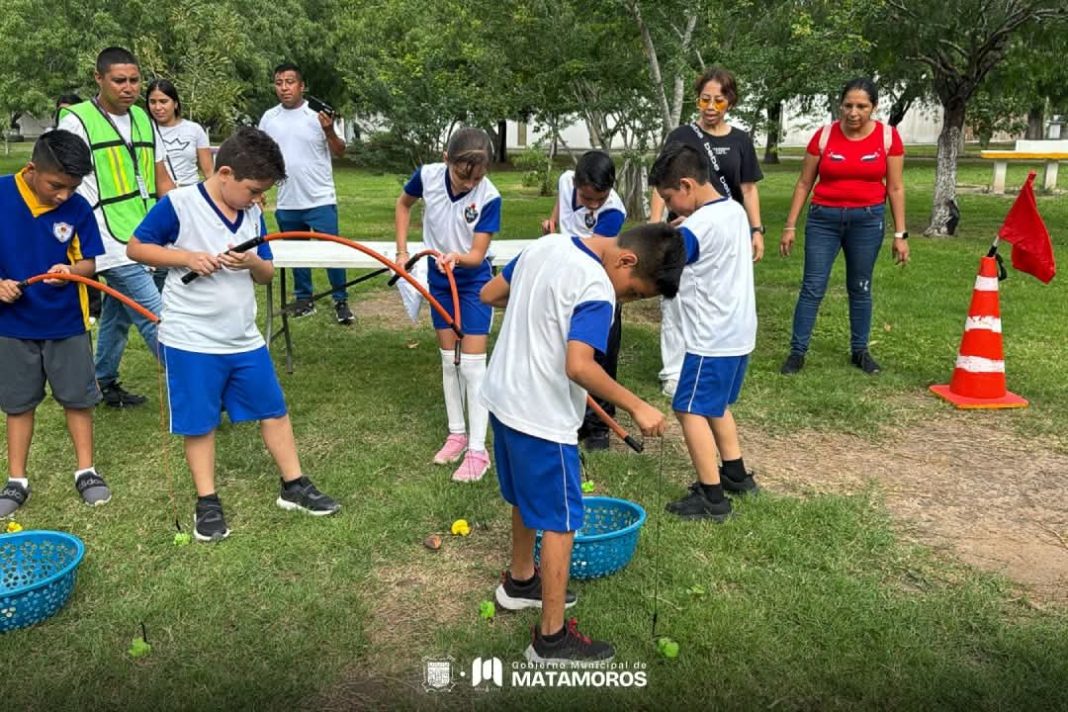 bf34f1f1-253f-44b5-a23c-11a502038922