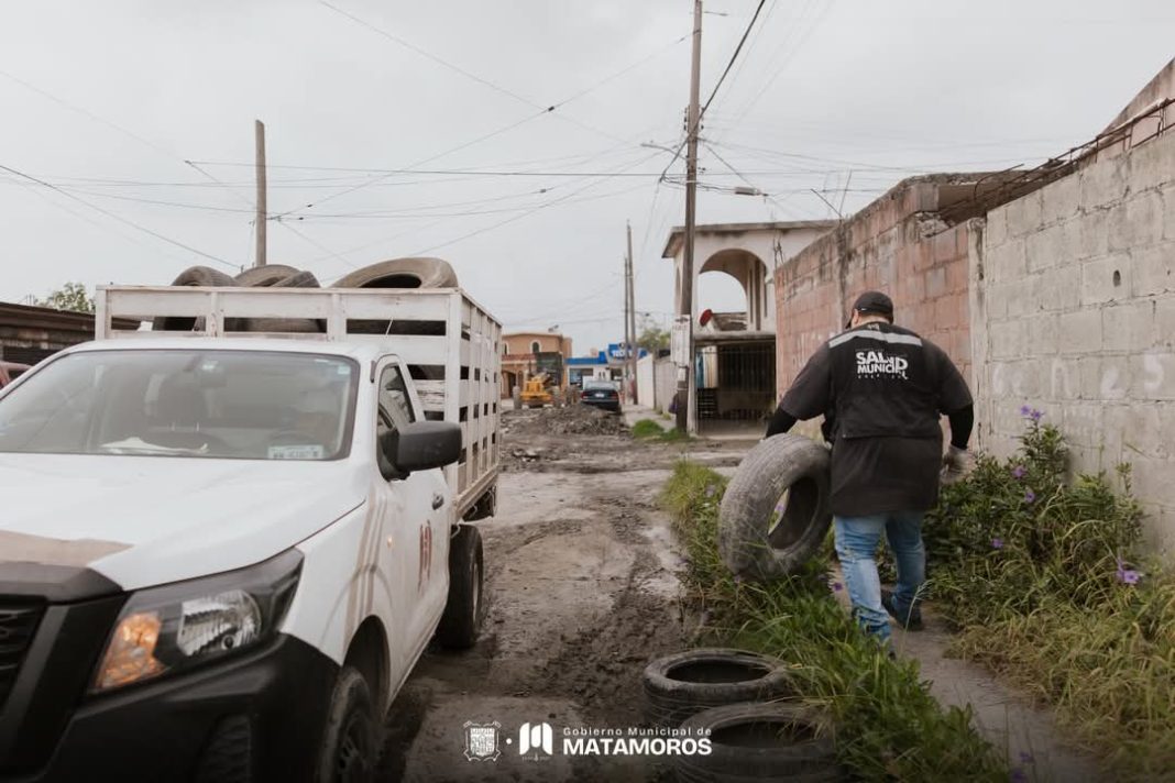 c5304439-ee50-4ce2-810e-622d0b038db7