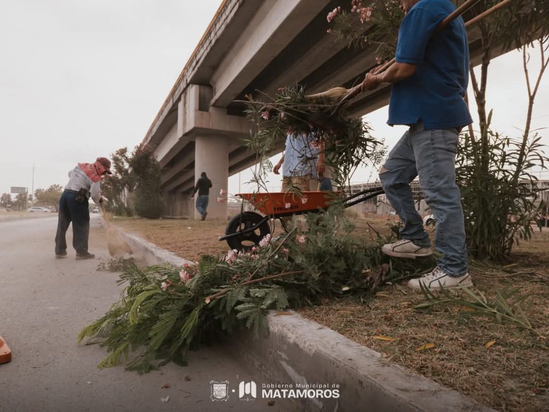 c5344d59-e20c-4b33-bf6b-465b03b621d5