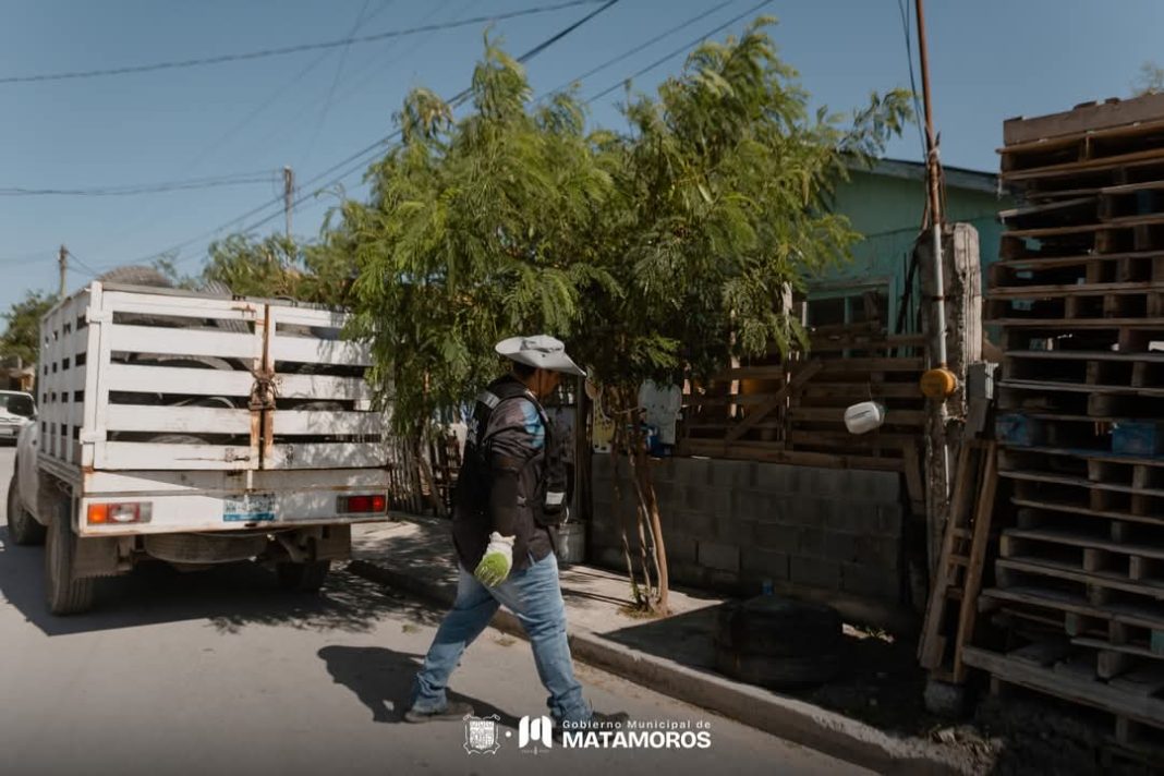 cc6cedef-4377-4366-bc00-0586f19bf119