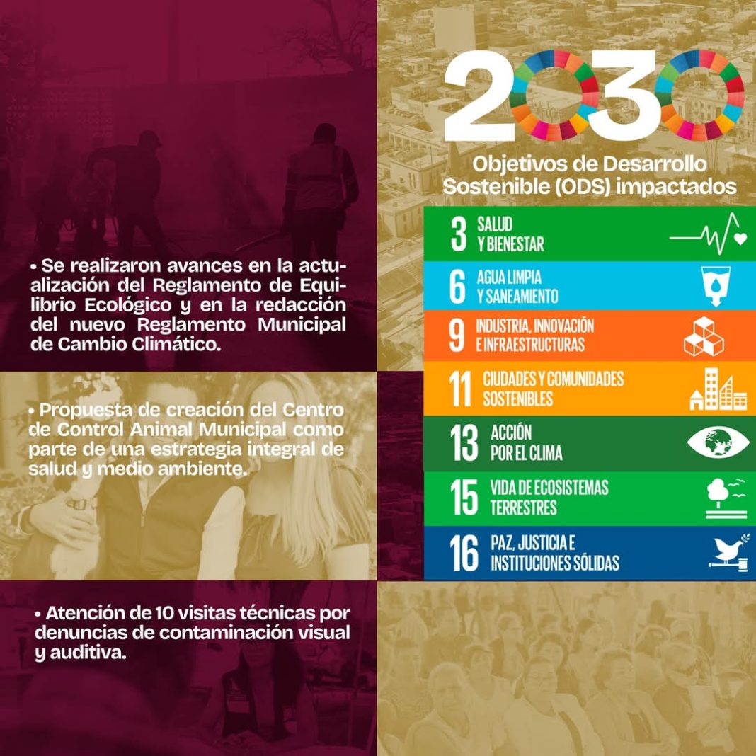 192fa334-9eed-4b5e-a0c8-1fd90da006c8