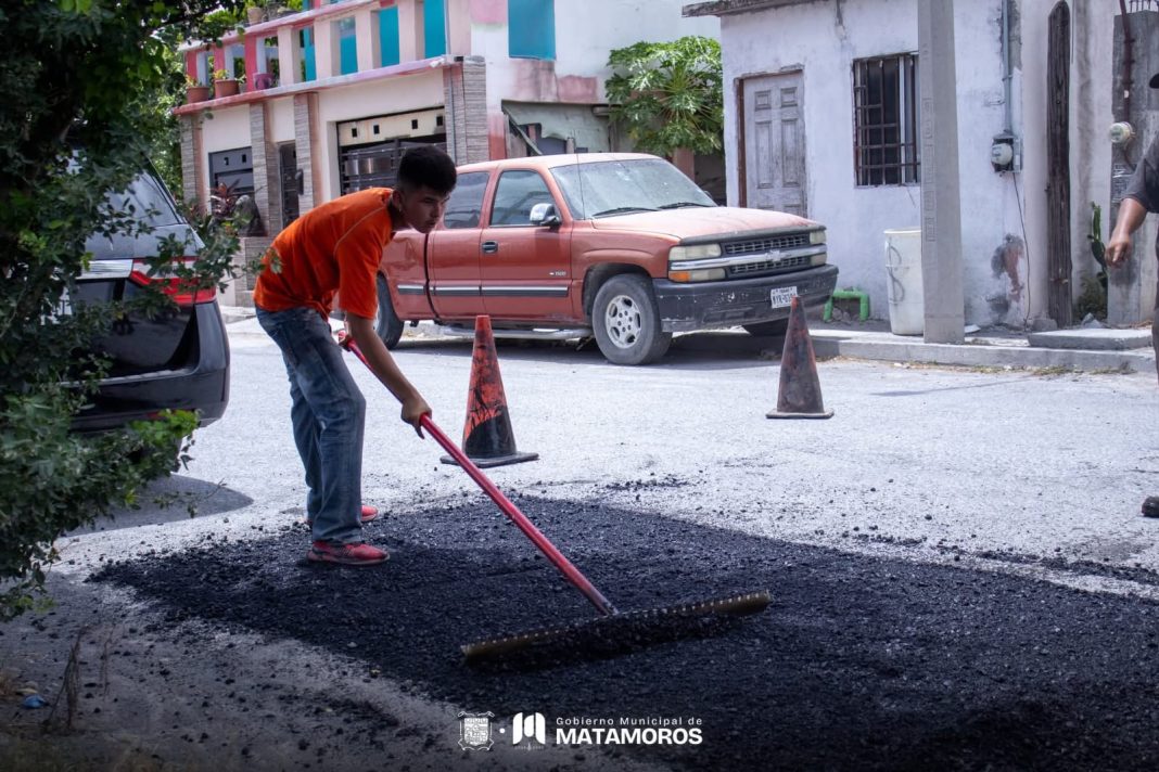 310d0dc3-8bb9-446a-aaf9-cd1de637d54d