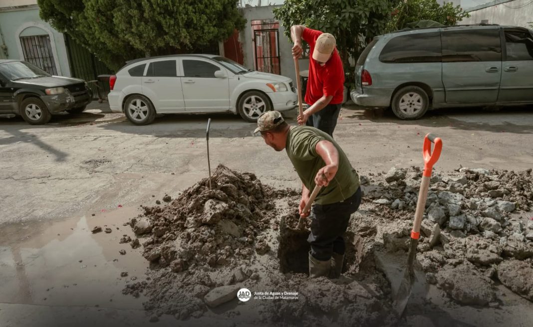 61b01d7f-9984-4c13-ba9d-32d2f14b8928