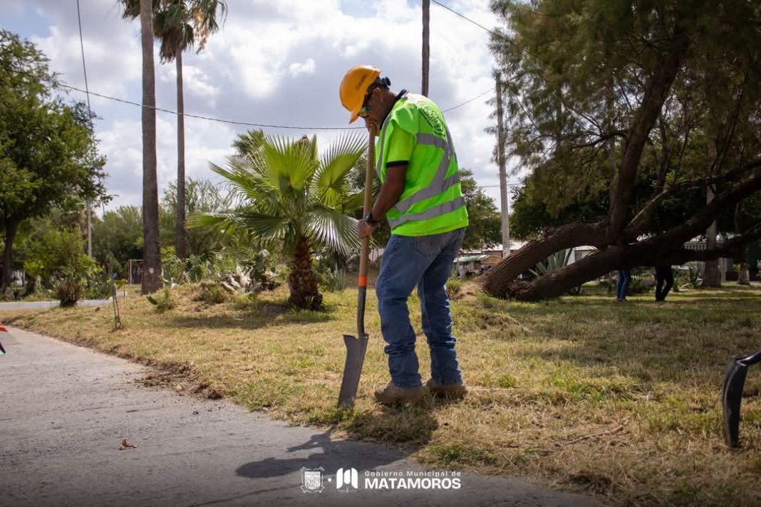 96f00e73-2f25-4fc5-a56e-0683a2796560