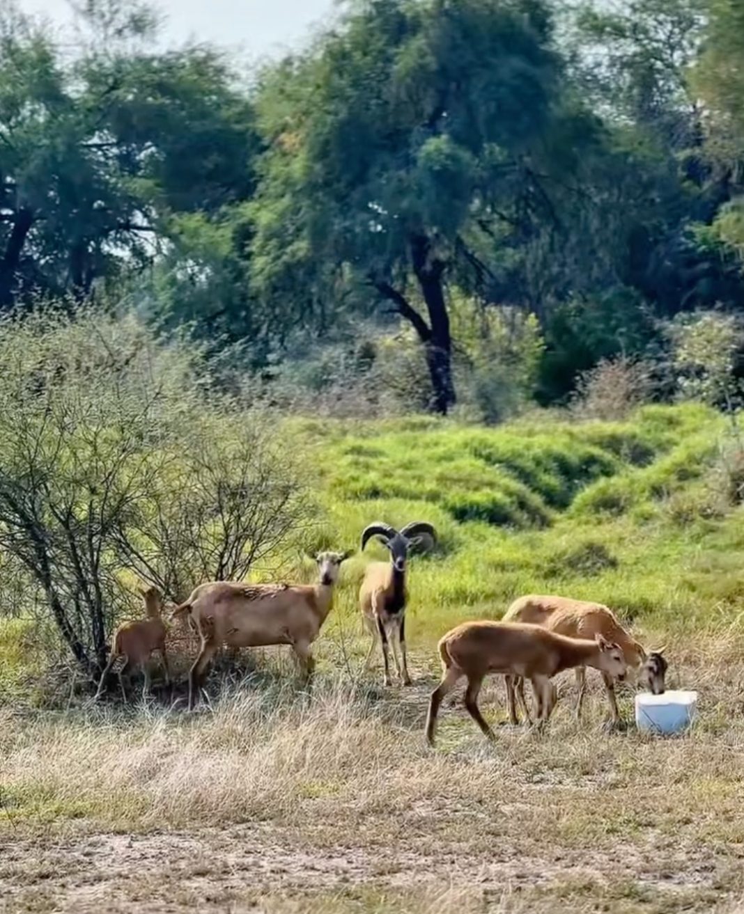 WhatsApp Image 2025-05-24 at 2.56.55 PM