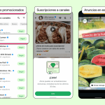 WhatsApp añade nuevas funciones para Canales y Estados