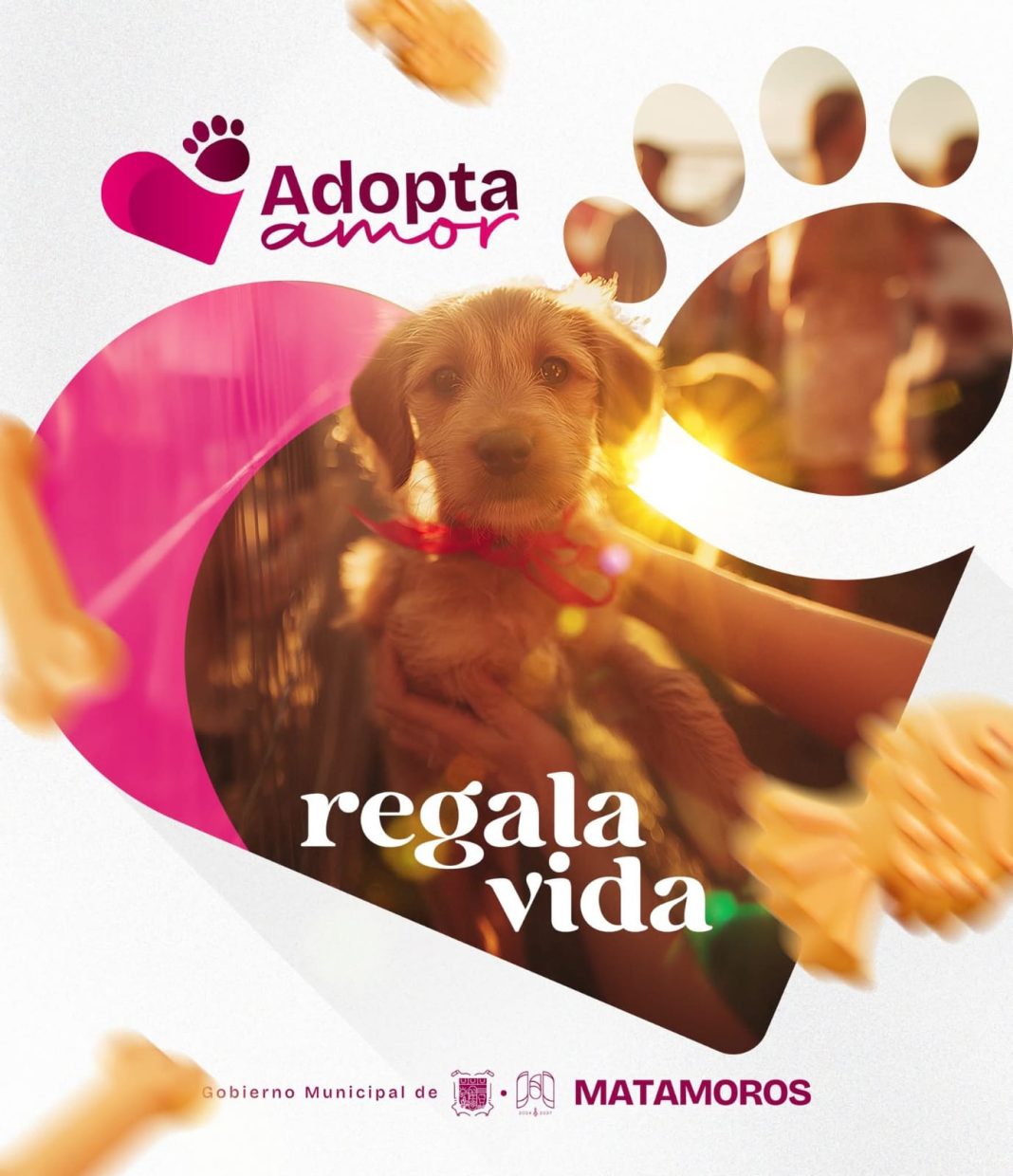 1d1b266c-05d0-41bd-be90-b450139fbace