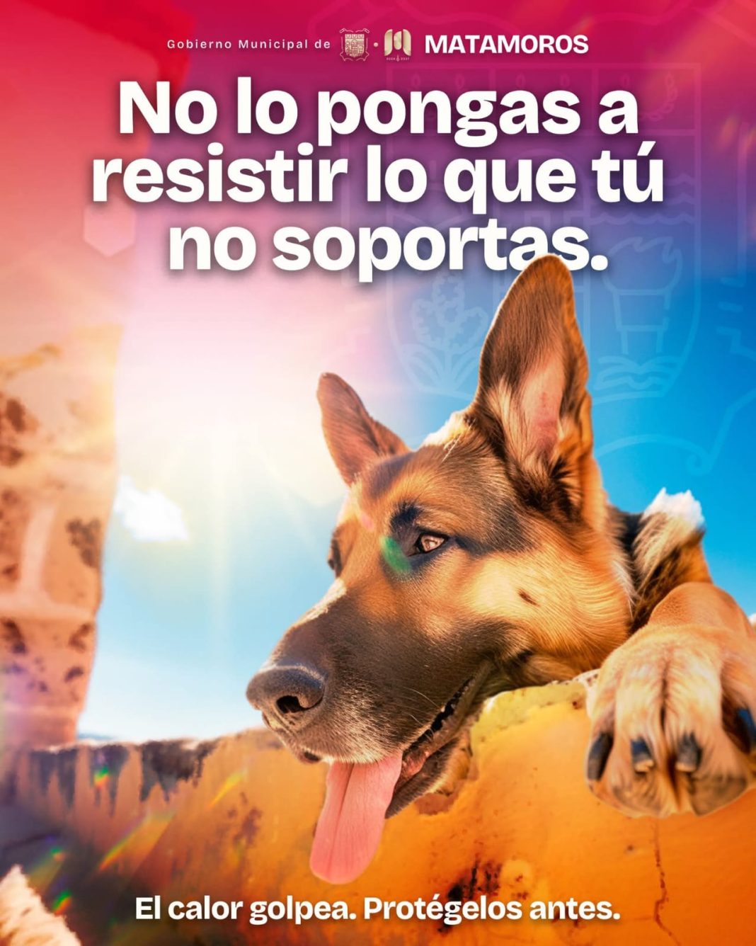 8dc01b00-a911-484b-987a-16122f286ce3